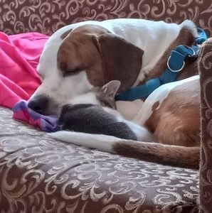 Meet your Posher, Matthew